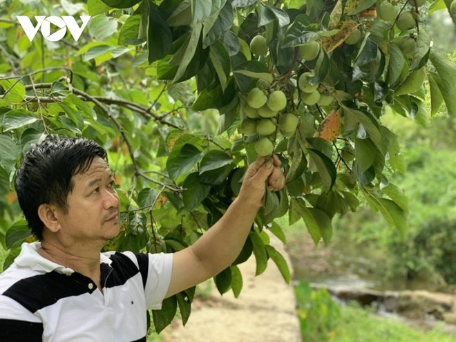 Hoàng Trong Dung, un agriculteur Tày émérite ảnh 1 Hoàng Trong Dung, un agriculteur Tày émérite ảnh 1