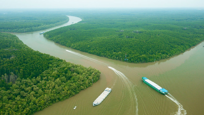 Ho Chi Minh-Ville s’emploie à faire de Can Gio une ville touristique côtière ảnh 1 Ho Chi Minh-Ville s’emploie à faire de Can Gio une ville touristique côtière ảnh 1