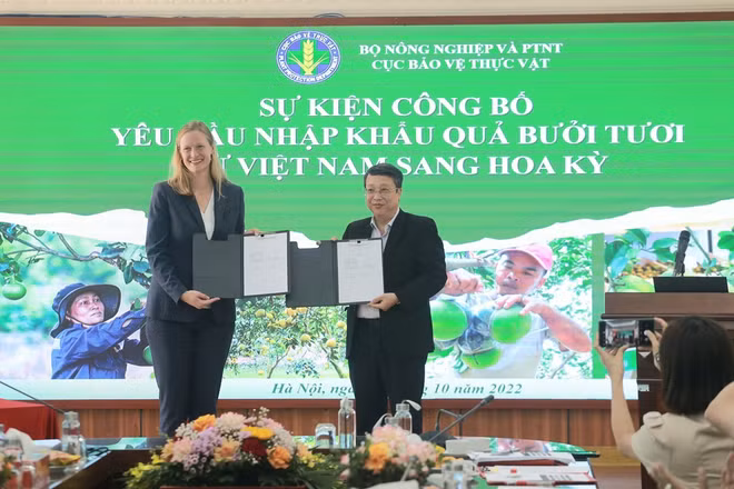 Le pomelo frais autorisé à être importé aux États-Unis ảnh 2