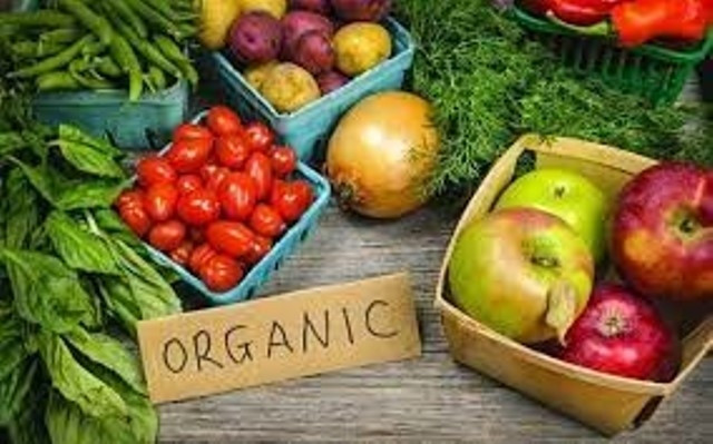 Produits organiques: le Danemark partage des expériences avec le Vietnam ảnh 1 Produits organiques: le Danemark partage des expériences avec le Vietnam ảnh 1