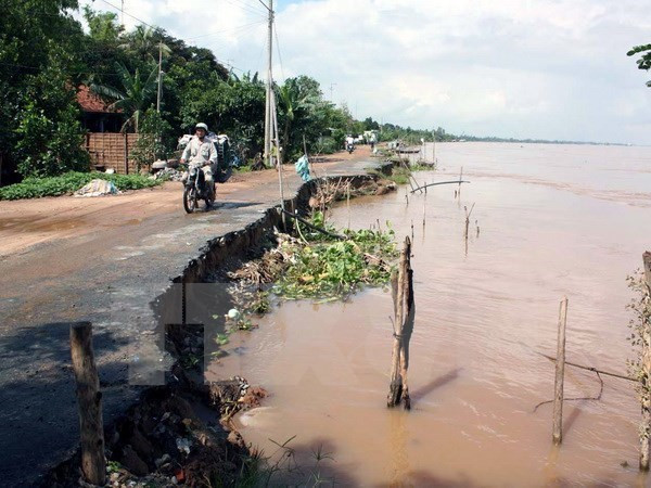 Recherche de solutions pour l'adaptation au changement climatique ảnh 2 Recherche de solutions pour l'adaptation au changement climatique ảnh 2