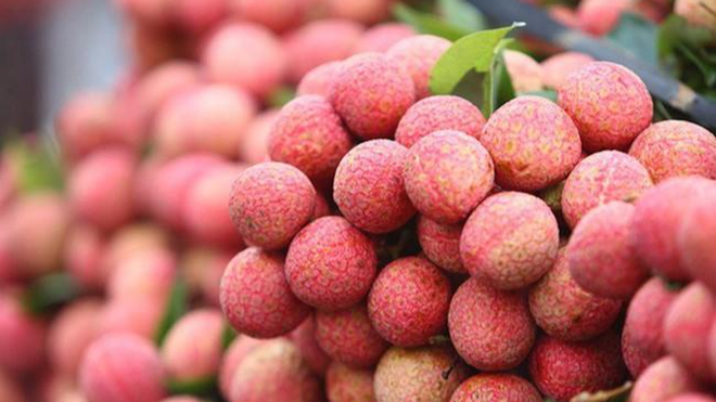 Malgré des frais élevés, des litchis vietnamiens débarquent en Australie ảnh 1 Malgré des frais élevés, des litchis vietnamiens débarquent en Australie ảnh 1