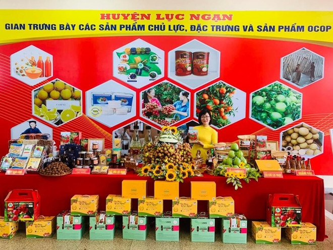 Bac Giang promeut la vente de litchis dans le pays et à l’étranger ảnh 1 Bac Giang promeut la vente de litchis dans le pays et à l’étranger ảnh 1