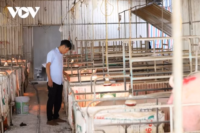 Trân Nhu Kiên, un agriculteur milliardaire ảnh 1