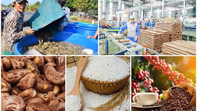 Exportations : neuf produits agricoles franchissent la barre du milliard de dollars ảnh 1
