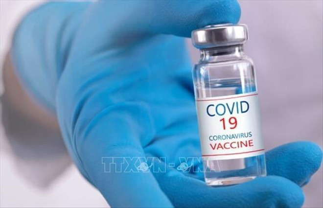 Le Vietnam compte trois vaccins candidats contre le coronavirus ảnh 1 Le Vietnam compte trois vaccins candidats contre le coronavirus ảnh 1