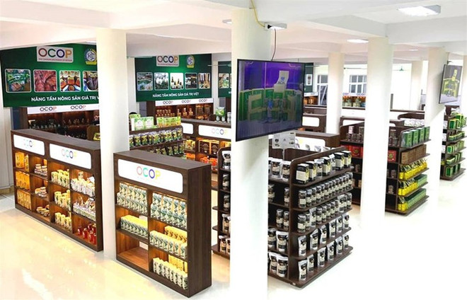 Programme OCOP: 4 ans plus tard ảnh 1