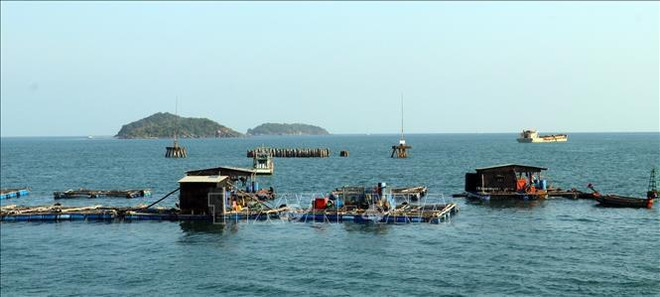 Phu Quoc s’efforce de relancer fortement son économie ảnh 1 Phu Quoc s’efforce de relancer fortement son économie ảnh 1