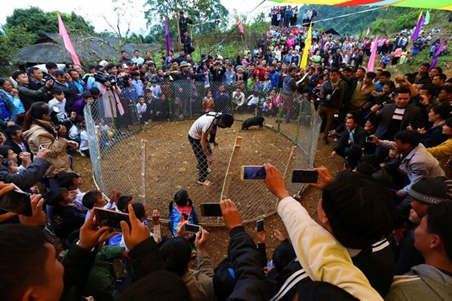 Un Tet très précoce pour un village d`ethnie H'mong du Nord ảnh 1 Un Tet très précoce pour un village d`ethnie H'mong du Nord ảnh 1