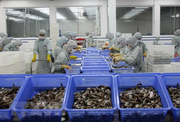 L’UE, premier marché importateur de crevettes vietnamiennes ảnh 1 L’UE, premier marché importateur de crevettes vietnamiennes ảnh 1