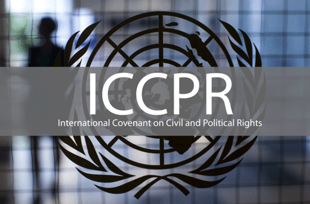 Le Vietnam participera à la session de l'ONU sur la mise en œuvre du PIDCP ảnh 1 Le Vietnam participera à la session de l'ONU sur la mise en œuvre du PIDCP ảnh 1