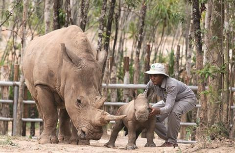 Vinpearl Safari Phu Quôc, le royaume des animaux sauvages ảnh 1 Vinpearl Safari Phu Quôc, le royaume des animaux sauvages ảnh 1