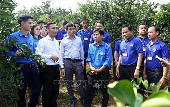 Vietnam-Laos : échanges renforcés entre les jeunes ảnh 1 Vietnam-Laos : échanges renforcés entre les jeunes ảnh 1