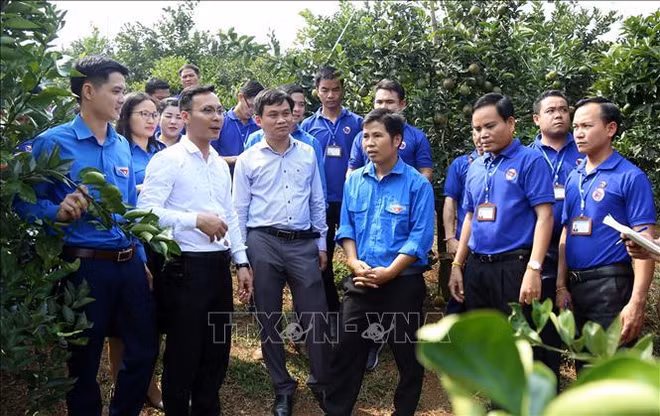 Vietnam-Laos : échanges renforcés entre les jeunes ảnh 1