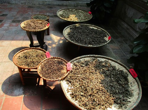 La médecine traditionnelle à l’honneur dans un musée à Hôi An ảnh 1 La médecine traditionnelle à l’honneur dans un musée à Hôi An ảnh 1