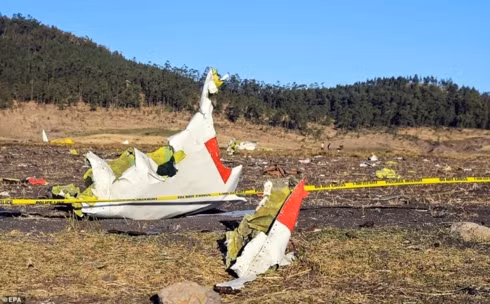 Accident d'un avion éthiopien : message de sympathie du Vietnam ảnh 1 Accident d'un avion éthiopien : message de sympathie du Vietnam ảnh 1