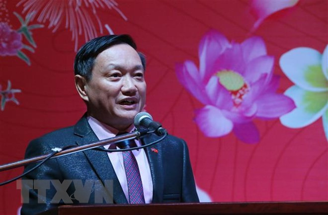 La communauté des Vietnamiens d'outre-mer de retour vers le pays natal pour le Têt ảnh 1 La communauté des Vietnamiens d'outre-mer de retour vers le pays natal pour le Têt ảnh 1