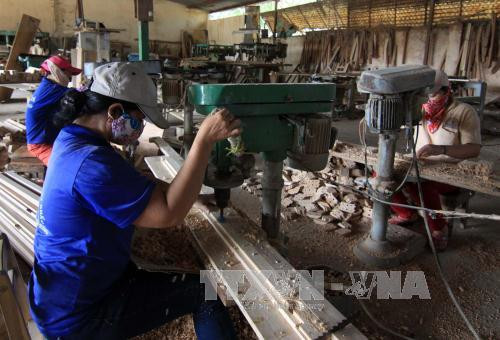 Janvier : les exportations de produits sylvicoles en hausse de 11% ảnh 1 Janvier : les exportations de produits sylvicoles en hausse de 11% ảnh 1