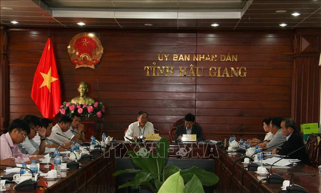 La BAD aide Hau Giang à renforcer l'écoulement de ses fruits et légumes ảnh 1