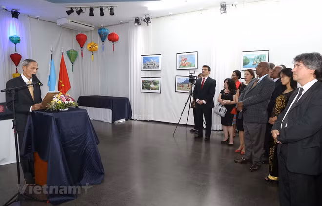 L'Argentine s'engage à dynamiser les relations de coopération avec le Vietnam ảnh 1