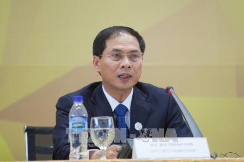 Le vice-ministre des AE Bui Thanh Son parle des contributions du Vietnam au Sommet du G20 ảnh 1