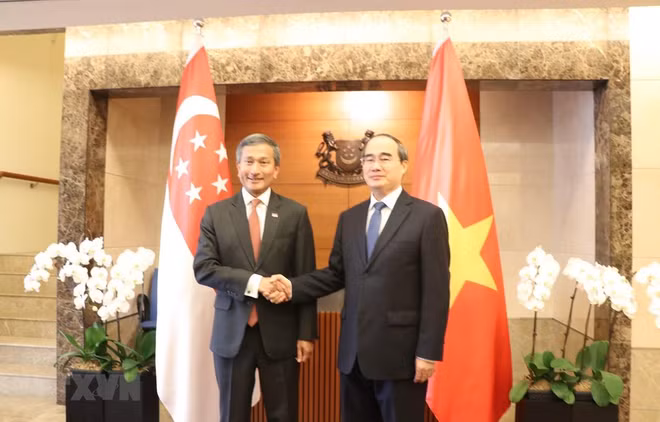 Ho Chi Minh-Ville accélère la coopération intégrale avec Singapour ảnh 1