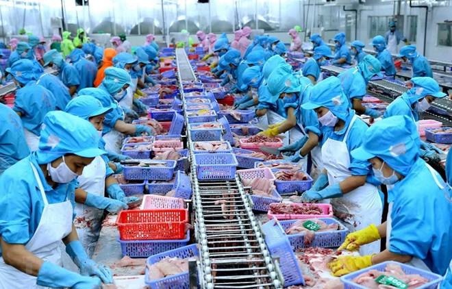 Le Vietnam, quatrième exportateur mondial de produits aquatiques ảnh 1 Le Vietnam, quatrième exportateur mondial de produits aquatiques ảnh 1