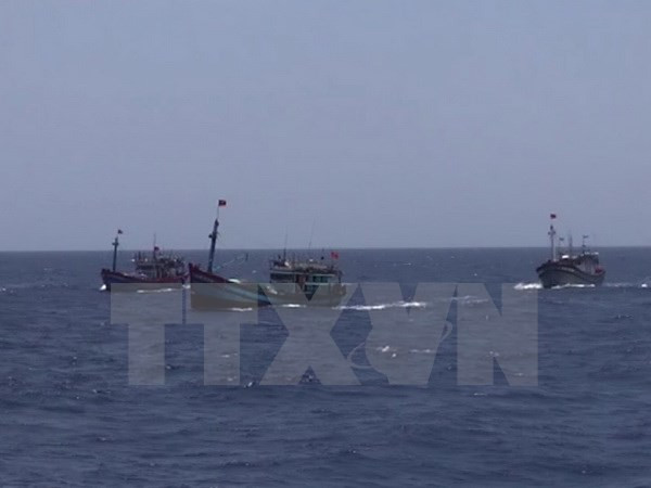 Pêche : l'annonce chinoise concernant les eaux vietnamiennes est dépourvue de toute valeur ảnh 1 Pêche : l'annonce chinoise concernant les eaux vietnamiennes est dépourvue de toute valeur ảnh 1