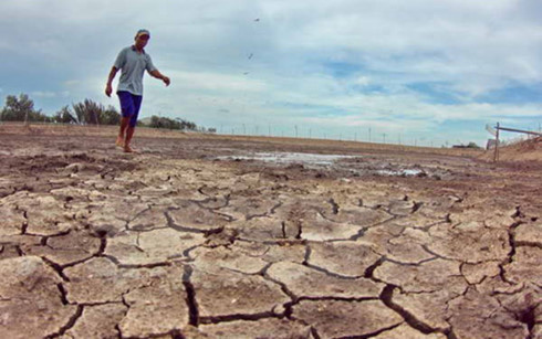 Adaptation au changement climatique – Action des législateurs ảnh 1 Adaptation au changement climatique – Action des législateurs ảnh 1