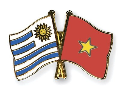 Inauguration du bureau du consulat d'Uruguay à Ho Chi Minh-Ville ảnh 1