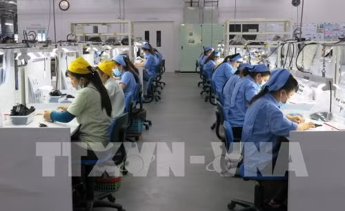 Des localités connaissent une croissance élevée du GRDP en six mois ảnh 1