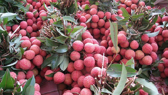 Accélérer l’exportation des fruits vietnamiens vers le marché chinois ảnh 1 Accélérer l’exportation des fruits vietnamiens vers le marché chinois ảnh 1