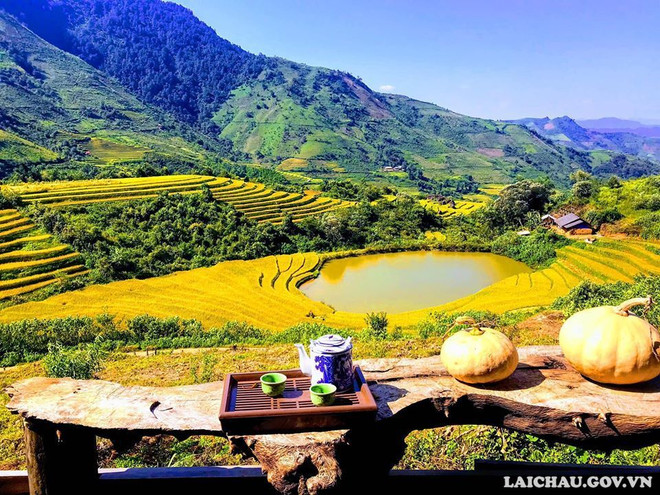 Sin Suối Hồ, un "printemps doré" à Lai Chau ảnh 1