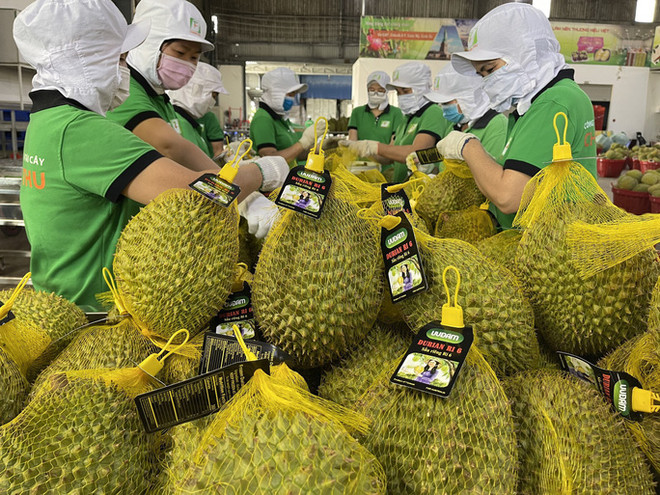 Les exportations de produits agricoles du Vietnam vers l'Australie en hausse ảnh 1