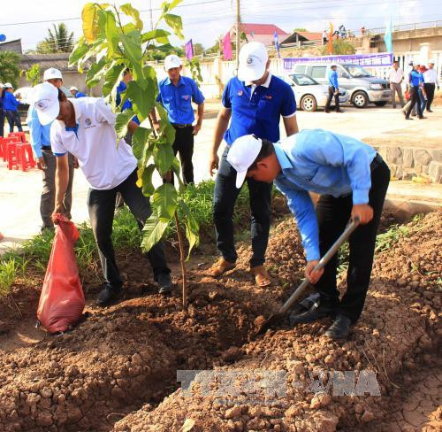 Hanoi lance la Fête de la plantation d'arbres 2016 ảnh 1 Hanoi lance la Fête de la plantation d'arbres 2016 ảnh 1
