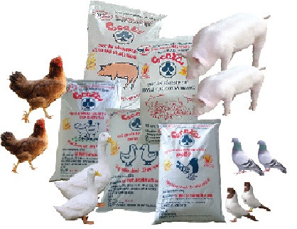 Coopération internationale pour améliorer la gestion de la qualité des aliments pour animaux ảnh 1 Coopération internationale pour améliorer la gestion de la qualité des aliments pour animaux ảnh 1