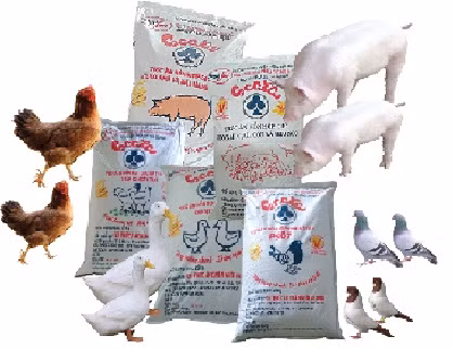 Coopération internationale pour améliorer la gestion de la qualité des aliments pour animaux ảnh 1
