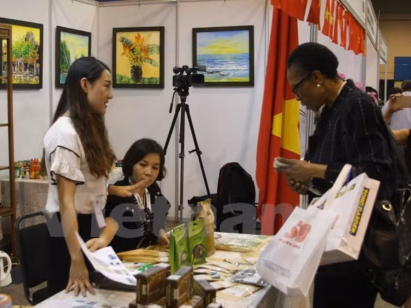Le Vietnam à la foire commerciale ASEAN - Afrique ảnh 1
