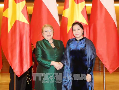 Le Vietnam souhaite stimuler les relations de coopération multiforme avec le Chili ảnh 3 Le Vietnam souhaite stimuler les relations de coopération multiforme avec le Chili ảnh 3