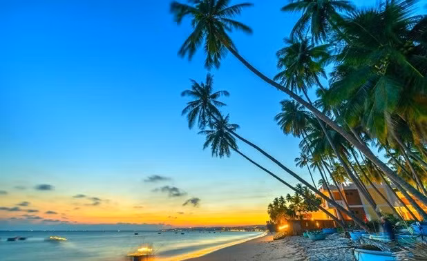 Binh Thuan accueillera l’Année nationale du tourisme 2023 ảnh 1