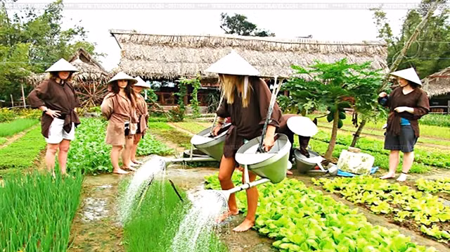 Le delta du Mékong cherche à développer l'agrotourisme ảnh 1 Le delta du Mékong cherche à développer l'agrotourisme ảnh 1