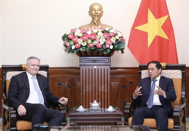Le ministre des AE Bui Thanh Son reçoit le secrétaire général de l'OCDE ảnh 2 Le ministre des AE Bui Thanh Son reçoit le secrétaire général de l'OCDE ảnh 2