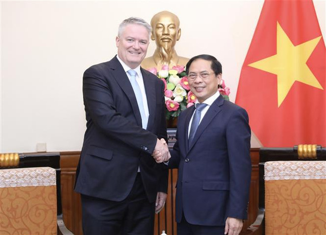 Le ministre des AE Bui Thanh Son reçoit le secrétaire général de l'OCDE ảnh 1 Le ministre des AE Bui Thanh Son reçoit le secrétaire général de l'OCDE ảnh 1