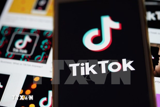 La Malaisie exhorte Meta et TikTok à lutter contre les contenus préjudiciables ảnh 1