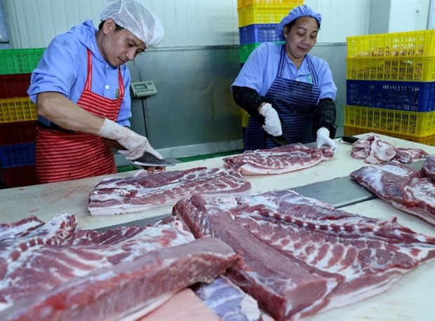 Les exportations vietnamiennes de produits de l'élevage en hausse au premier trimestre ảnh 1 Les exportations vietnamiennes de produits de l'élevage en hausse au premier trimestre ảnh 1