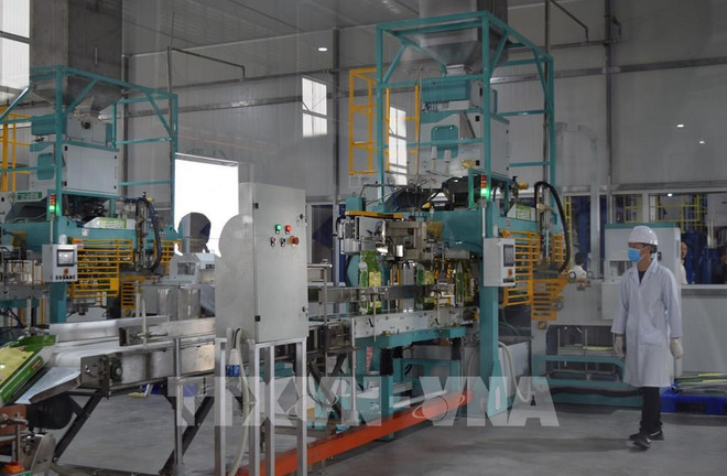 Les entreprises manufacturières optimistes quant à leurs activités au deuxième trimestre ảnh 1