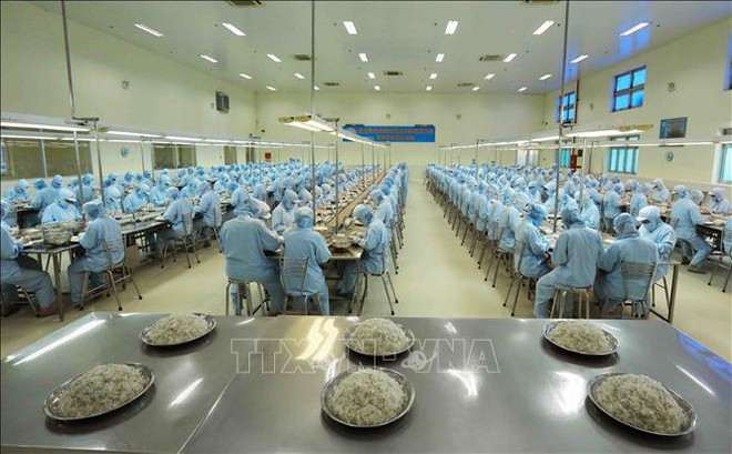 Affirmation de la marque vietnamienne sur la scène internationale ảnh 1 Affirmation de la marque vietnamienne sur la scène internationale ảnh 1