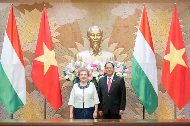 Amélioration de l’efficacité des accords de coopération Vietnam-Hongrie ảnh 1 Amélioration de l’efficacité des accords de coopération Vietnam-Hongrie ảnh 1