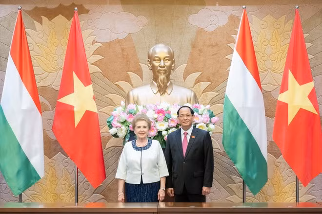 Amélioration de l’efficacité des accords de coopération Vietnam-Hongrie ảnh 1
