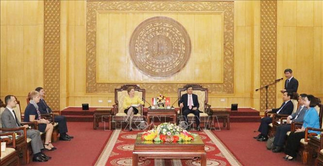 Promotion de la coopération entre Ninh Binh et la Hongrie ảnh 1